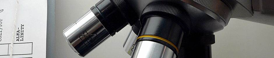 活動内容頁イメージ 顕微鏡